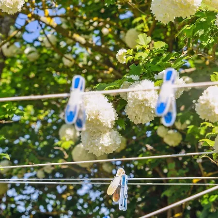 Benthe - 200m From The Sea By Interhome *